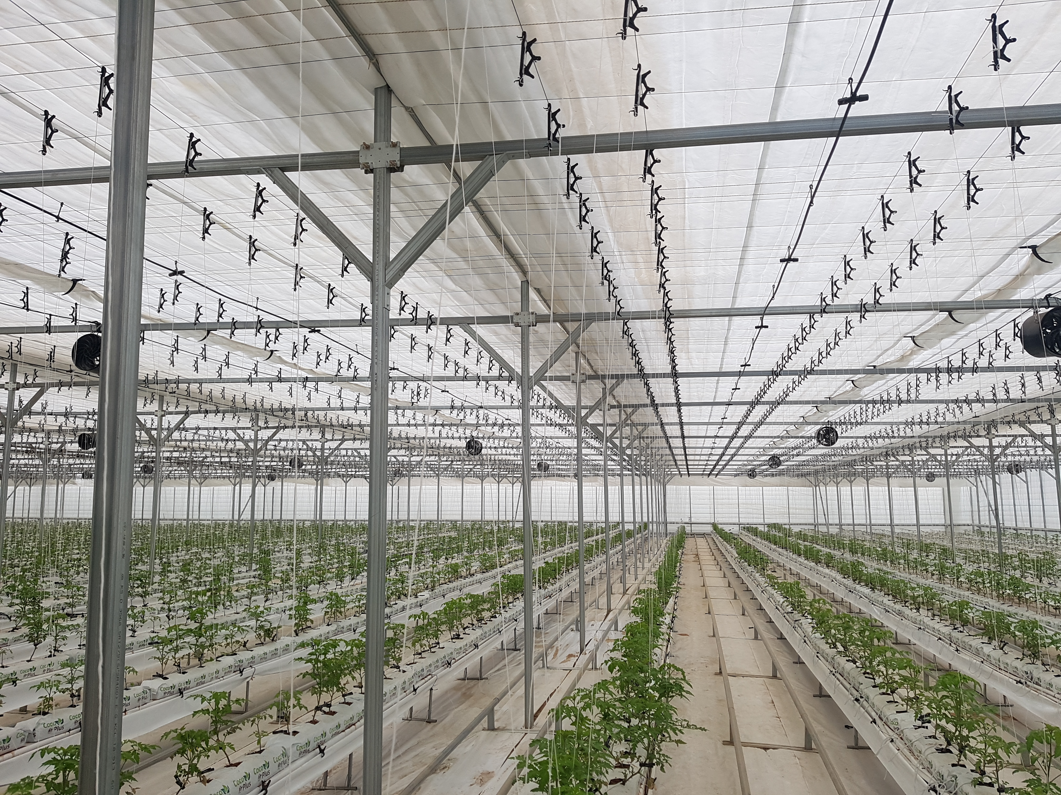 Injiniring - Image 1