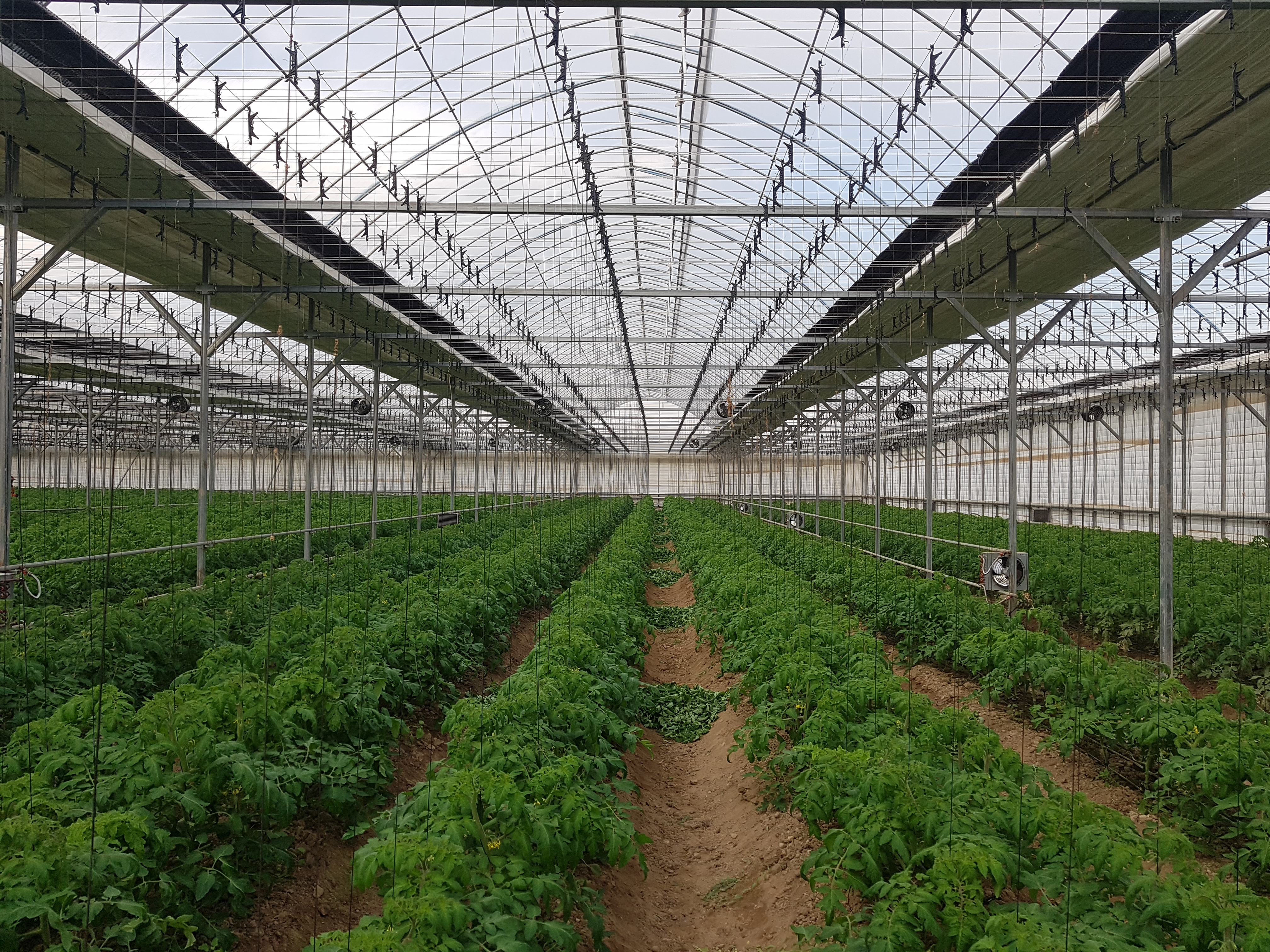 Injiniring - Image 2