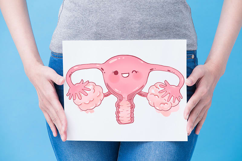 Woman Uterus