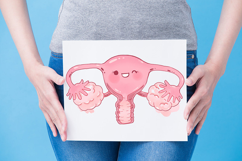 Woman Uterus