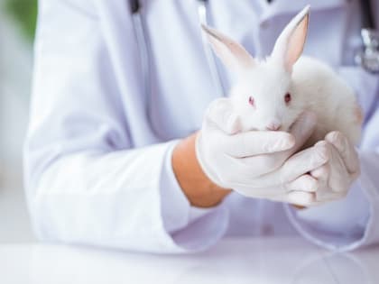 Уникальную биокерамику для восстановления костей создали в Приморье