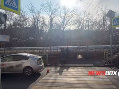 Девятилетнего ребёнка во Владивостоке сшибли прямо на «зебре» — видео