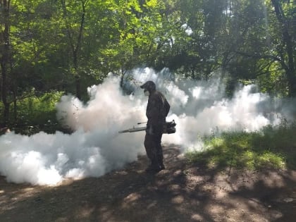 Обработка парковых зон от клещей в Арсеньеве