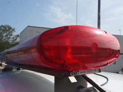 Информация о трудоустройстве в Артеме