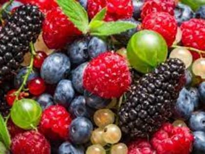Подорожание ягод в России оценили