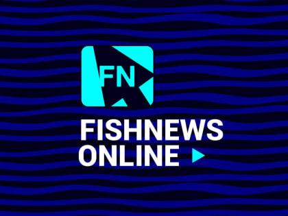 Банковский сектор готовится к новому этапу квот под инвестиции