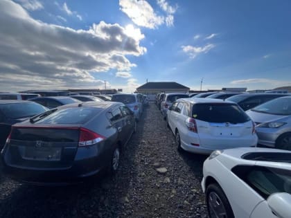 Машины стали меньше, но дороже. К чему привели автозапреты Японии?