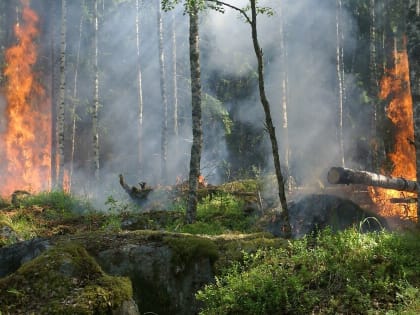 В Рязанской области на ликвидацию пожаров брошены сотни человек