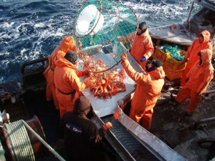 Участники крабовых аукционов утонут в кредитах после решения Центробанка?