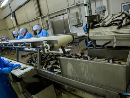 Рыбаки и машиностроители определят приоритетное оборудование для господдержки