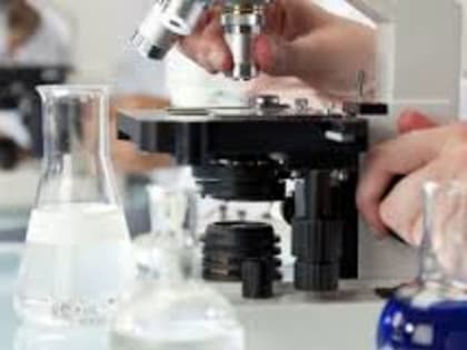 Болезни объектов аквакультуры – как и чем лечить