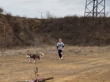 С бесснежными дисциплинами ездового спорта познакомили всех желающих на открытой тренировке