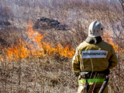 В Яковлевском районе потушили пожар на площади 100 га