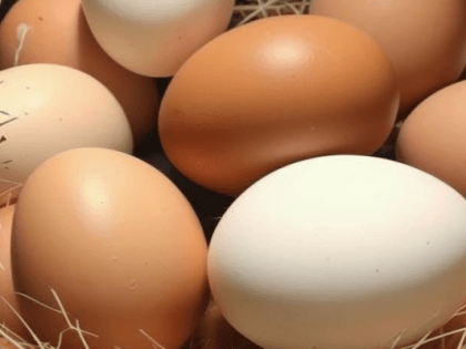 Новые инициативы по улучшению городской инфраструктуры