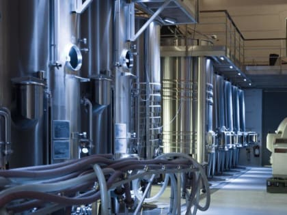 «Ущерб на 200 миллионов». В Хабаровском крае возбудили уголовное дело после вспышки птичьего гриппа