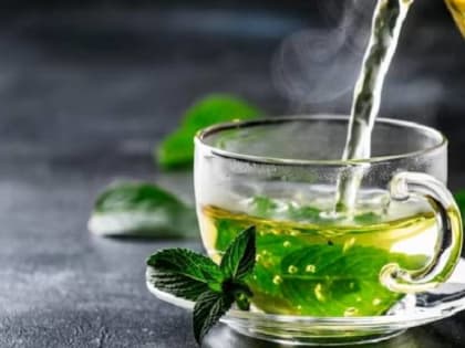 Диетолог Стародубова рассказала о пользе зеленого чая