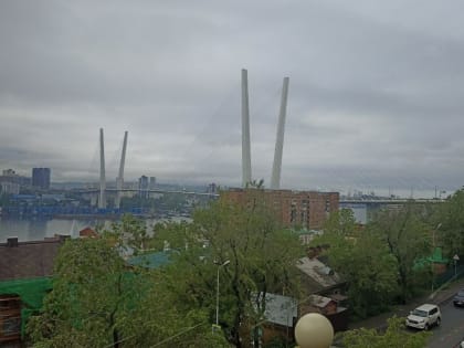 Картина дня в Приморье: новые санкции, череда аварий и спортсмен-дебошир