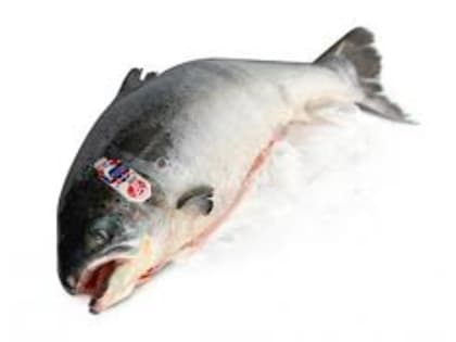 Цены на норвежского лосося резко упали на 24-й неделе