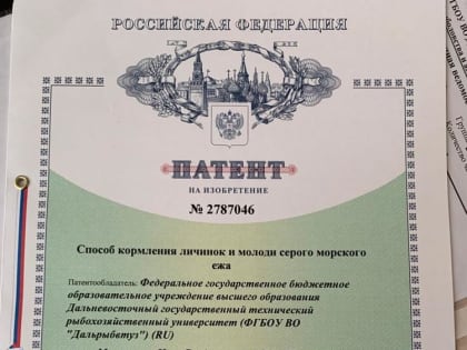 Дальрыбвтуз запатентовал способ кормления ценного гидробионта для промышленного разведения