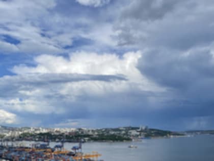 Новый бизнес-центр и множество проездов: мэрия распланировала Эгершельд от Казанского моста до сквера Щетининой