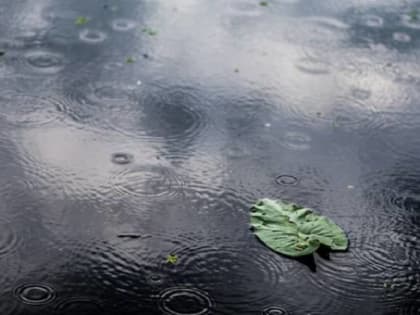 Дождь, снег, гололедица: циклон обрушился на Приморье