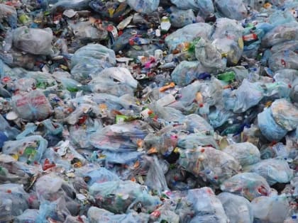 Вмешалась прокуратура. Жители очередного района Приморья утопают в мусоре