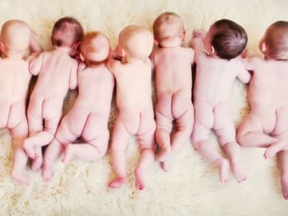 Мир и Лира поселились в Приморье