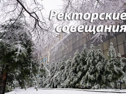 ВВГУ примет участие в дальневосточном треке программы «Приоритет 2030»