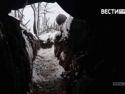 Новые правила наследования введут для родственников погибших участников СВО