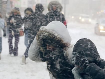 Мокрый снег и ураган обрушатся на Приморье. Названа точная дата
