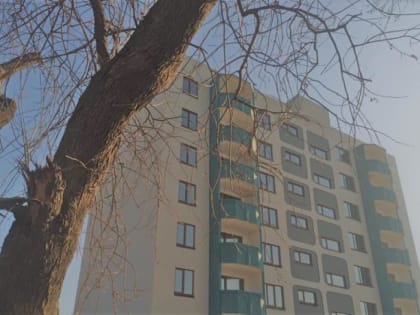 Всего 2% годовых. Новый вид льготной ипотеки уже можно оформить