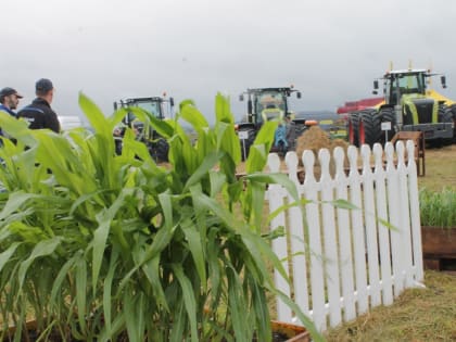 Сохранение субсидий для малых хозяйств в условиях экономической нестабильности