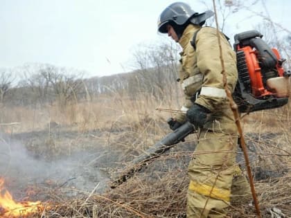 В Приморье ловят поджигателей леса и сухой травы, им грозят штрафы до 800 тысяч рублей