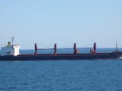 Экспорт зерна из Приморья в мае 2023 года увеличился почти в 2 раза