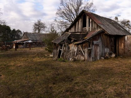 До 50&nbsp;000 рублей. За эти вещи на даче придется отдать крупную сумму