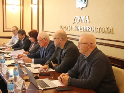 Депутаты рассмотрели проекты правовых актов по вопросам приватизации