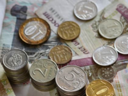 Приморские депутаты поддержали повышение налога на доходы