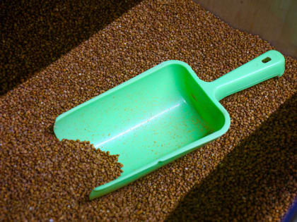 В Приморье в два раза подешевела гречка