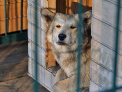 В муниципальное учреждение «Сетевое и парковое хозяйство» требуются сотрудники: