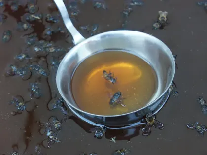 Не добавляйте в чай: приморцам рассказали о главном помощнике в сезон простуд