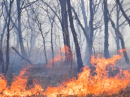 90 пожарных из Приморья отправятся на помощь в леса Красноярского края