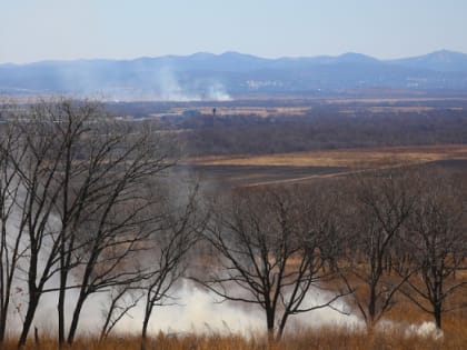 Правительство Приморья рекомендует отказаться от прогулок по лесу в майские праздники
