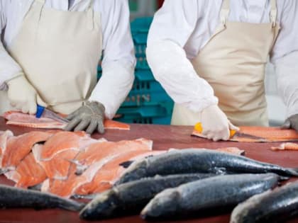 Рыбопереработчикам необходимо льготное кредитование
