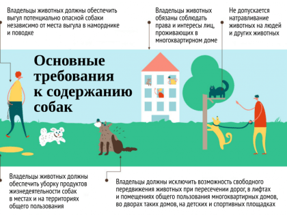 ПРАВИЛА ВЫГУЛА ДОМАШНИХ ЖИВОТНЫХ