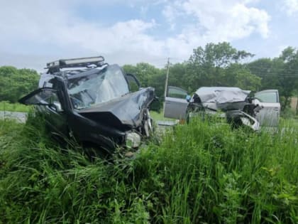 Двое пожилых людей пострадали в ДТП на дороге Находкинского района