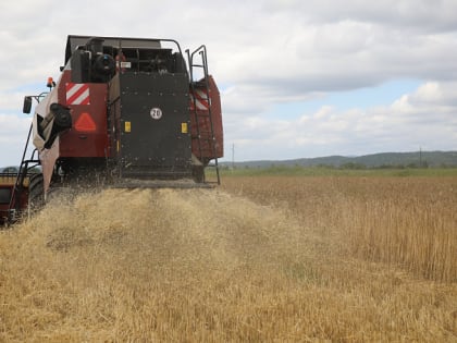 Более 7 тысяч гектаров ранних зерновых убрали аграрии Приморья