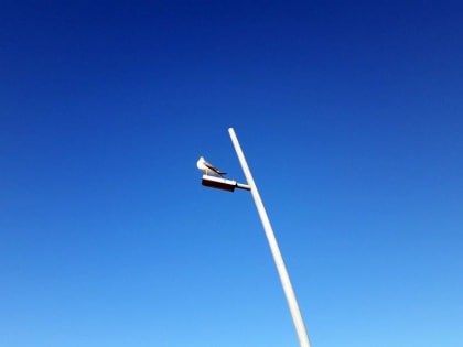 О северном ветре 8 марта предупредили жителей Владивостока в Росгидромете