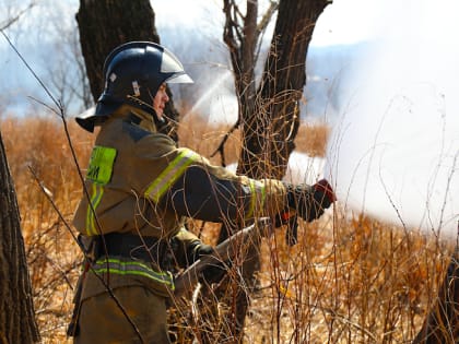 С 1 апреля на территории Арсеньевского городского округа введен особый противопожарный режим