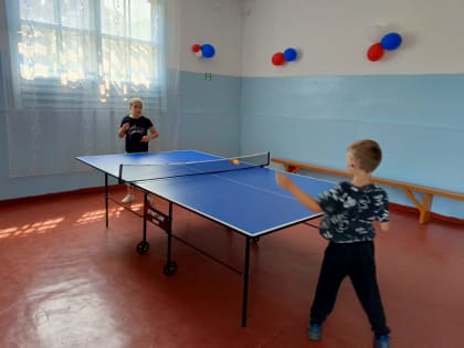 Теннисный стол для детей из Молчановки