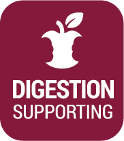 Digestion Supporting Icon